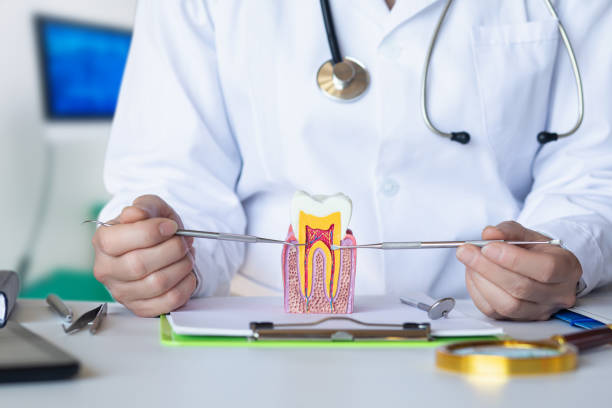 Best Broken or Chipped Tooth Repair in Laguna Beach, FL